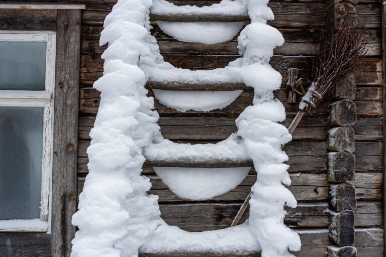 lena_cs-ladder-6945890_1920
