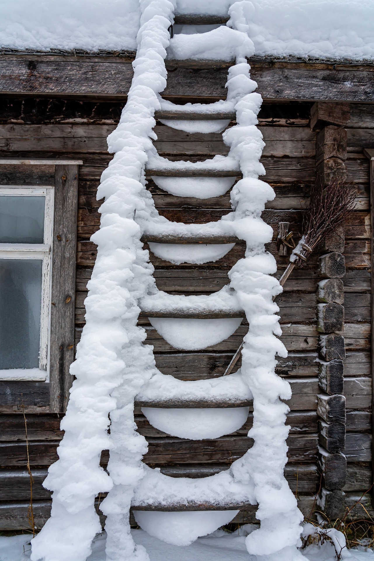 lena_cs-ladder-6945890_1920